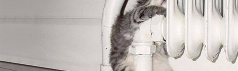 Учимся уважать Родину