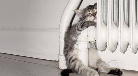 Учимся уважать Родину